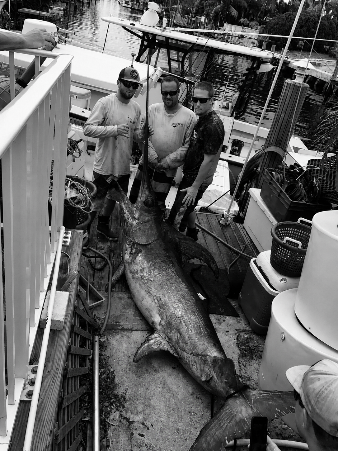 Three fishermen on a Florida dock beside a giant swordfish after an offshore catch.